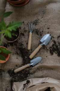 Gardening Services Costa Blanca