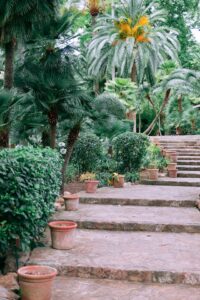 Gardening Services Costa Blanca
