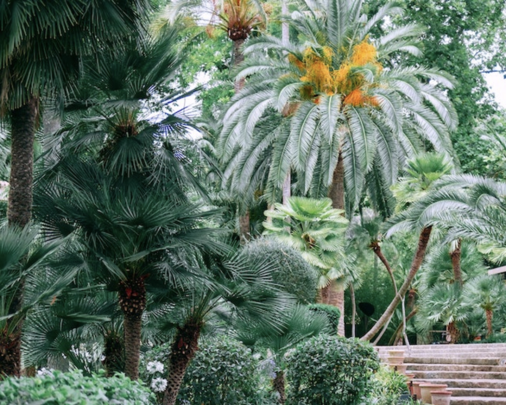 Garden Maintenance Denia