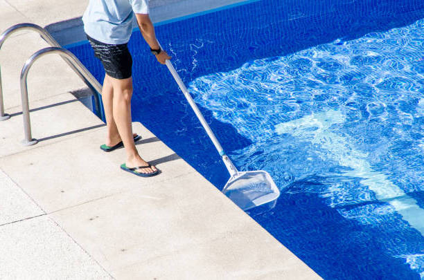 Pool Cleaner Quesada